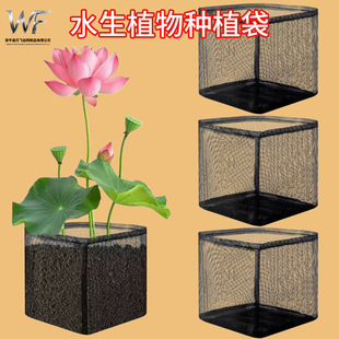 �ɶ��ƿ羳���ϾW�@�ֳ���ˮ��ֲ��Nֲ�W��С�������ϾW�����ϾW
