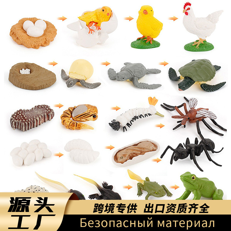 Original factory direct sales children's science and education…