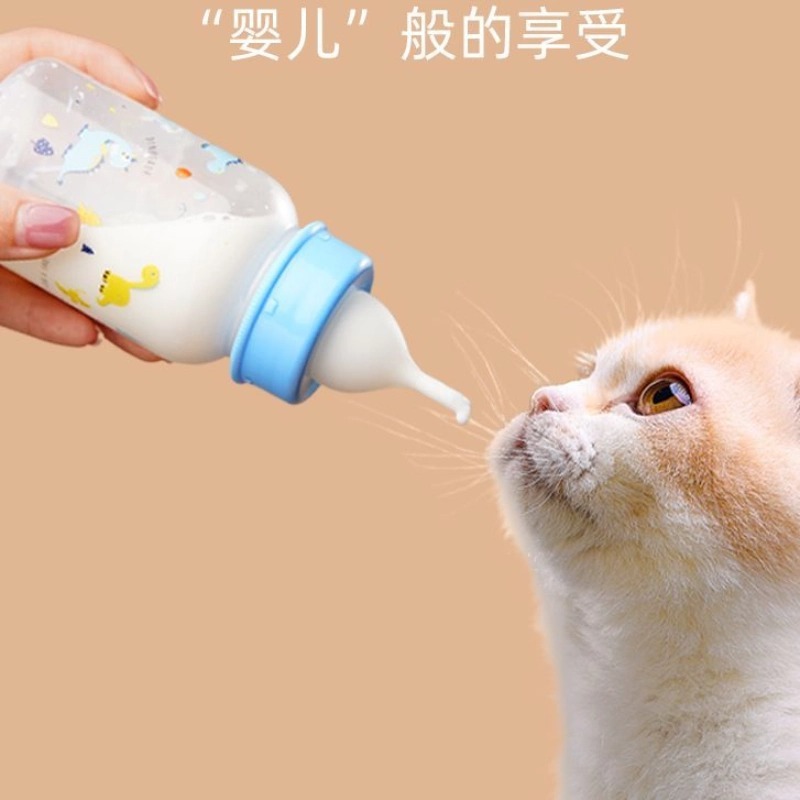 哺乳瓶、子猫、新生児ペット、子犬ボトル、小さな猫、子犬、哺乳瓶、哺乳瓶、猫用品|undefined