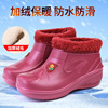 Eva short boots red-women's style