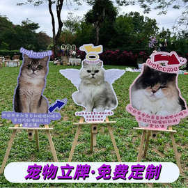 kt板同款网红宠物猫咪diungzhi迎宾牌婚礼狗狗小红书手举牌kt板di