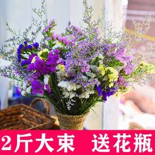 云南勿忘我满天星干花花束鲜花真花批发插花装饰客厅摆件花卉礼物