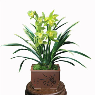 wmĎl؛Fܽqļ_Gֲ҃m