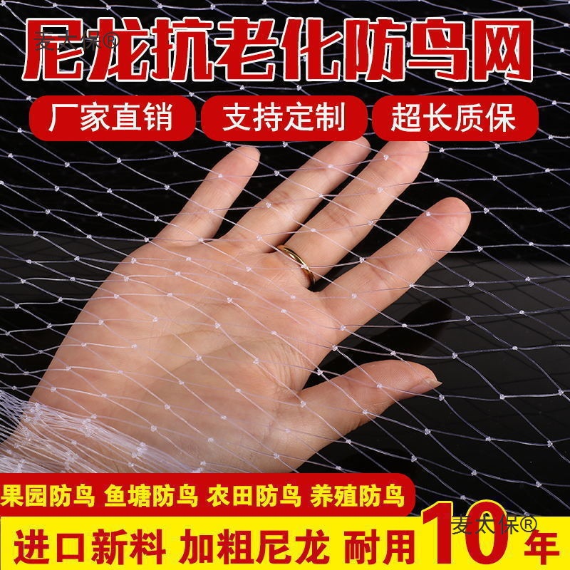防鸟网防老化大棚保护网家用果树网防鸟用的鱼塘养殖网麦太保