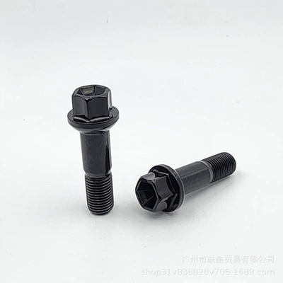 Rim Hub Bolts for – Digər kuzov və aksesuarlar - black-long-section-7607-single