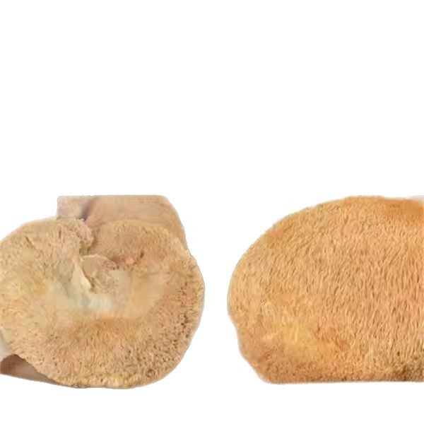 Hou Tou Gu Powder 500g Lion's Mane Mushroom Meal Replacement Powder from Northeast China specifications