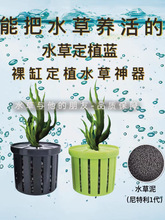�~��ˮ�ݶ�ֲ�@��ֲ�h�쾰�b��B�ݱ��̸���ˮ������׹̶���