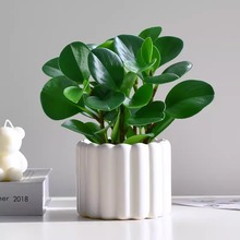 ����GֲС�����k���҃������bG���ļ����B���ֲ�﹤λ�辰