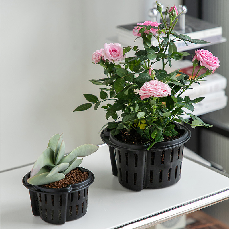 Equipo hidropónico sin suelo, maceta plástica gruesa, cesta para raíces, orquídeas y pothos