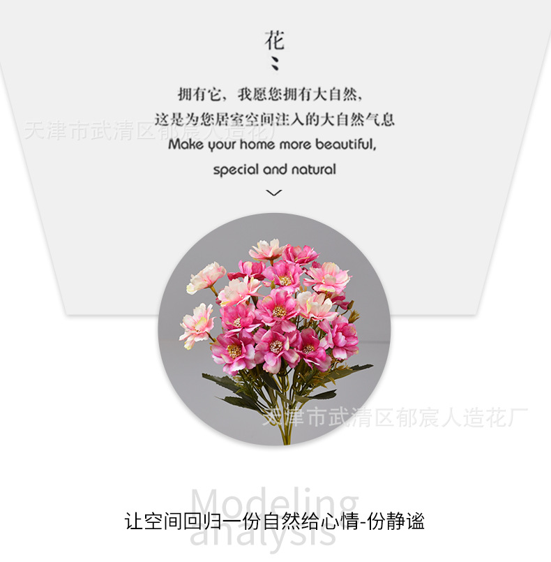 详情_05.png