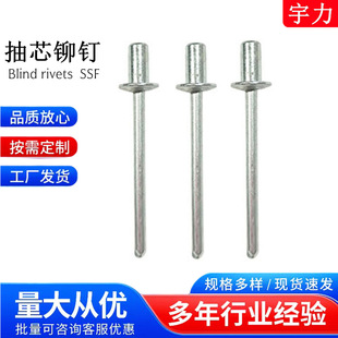 SSFȫ�F��F�ͱ�A�^��о�T ����T�̼����С��ᔳ����T�