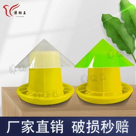 其他小宠用品;鸟笼;鸟类