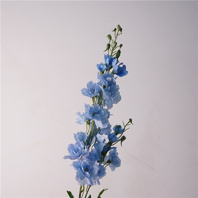 촉촉한 제비꽃-블루