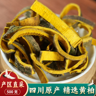 中药材黄柏500g包邮 川黄柏 关黄柏皮 檗皮 黄檗另售苍术苦参-阿里巴巴
