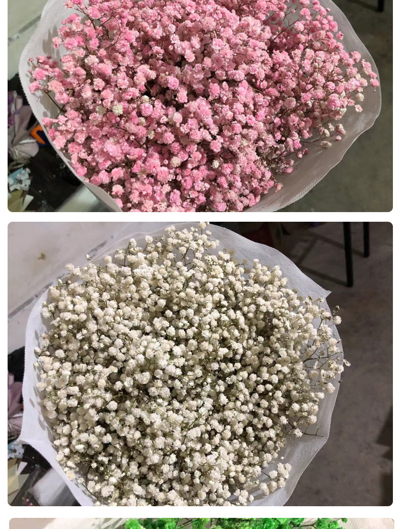 Full Sky Star, Immortal Flower, Dry Flower, True Flower Bundle, Flower Material, Gift, Flower_voghion.com