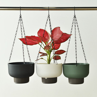 ���@����Ғ�ʽ����ˮ���ϴ����m����ֲ��ڒ�G�}�����ٴ�̖�Ӻ�