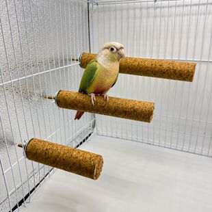 �W�^ܛľվ�Uĥצ������߂}��ĥ�����␞��z����؈С����Ʒ���l