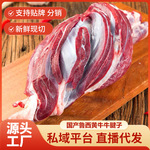 国产原切牛腱子批发生鲜商用火锅食材新鲜不调理牛腱肉5斤牛腱子