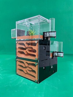 Λρ�Ǳ������� ����Λρ�Ǳ� Λρ������ Λρ�� ρρ�Ǳ�����