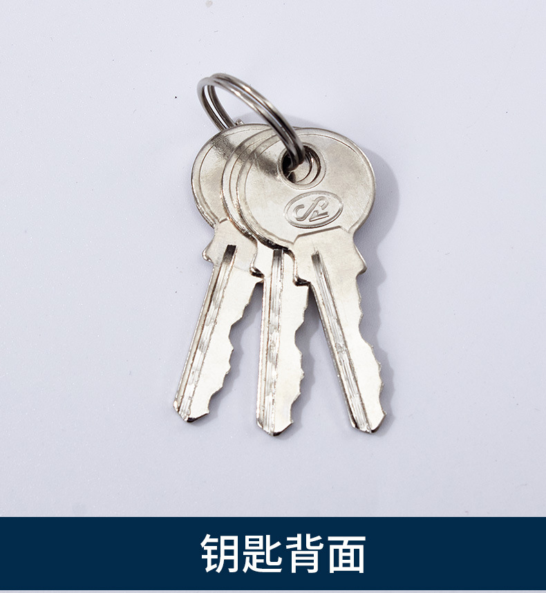 Pujiang factory direct sales thick type Shengli chrome-plated lock with waterproof ring copper core padlock warehouse door lock head pic 11
