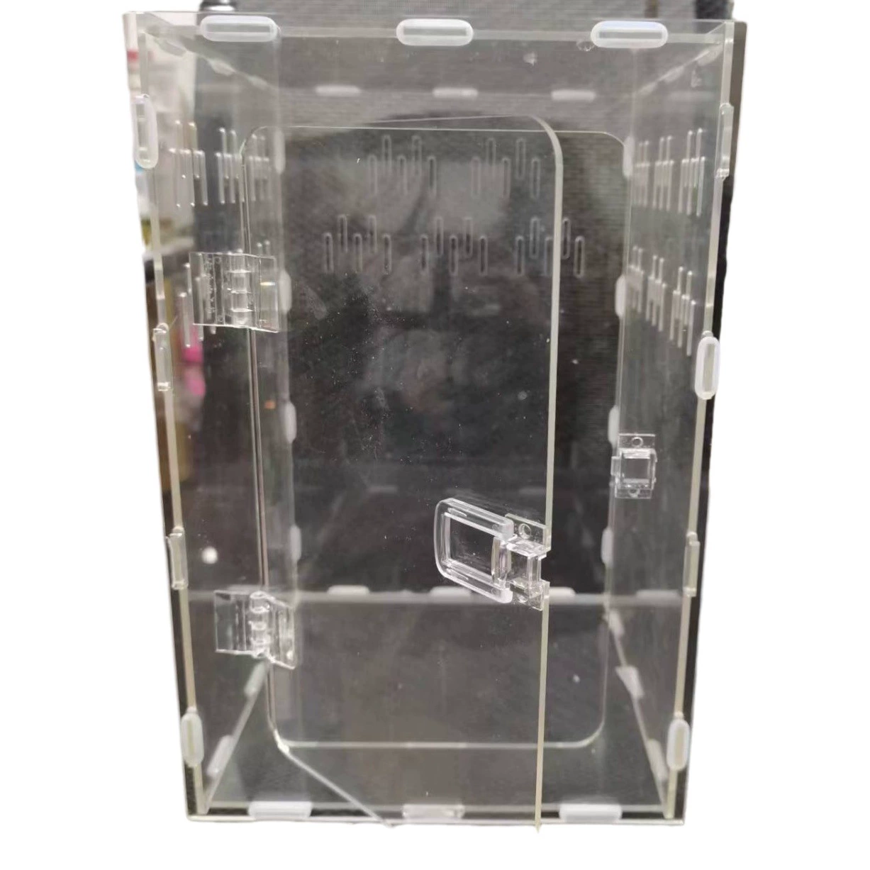 Акриловая квадратная прозрачная коробка для кормления домашних животных креативная простая рутин курица черепаха гусеничный ход акриловая коробка заказ