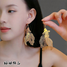 2025�¿��\��С�~���hŮ�W���F���p�ݶ��������䵭�L���h���Ʒ