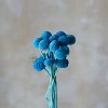 Sky blue (a bunch of 20 pieces)