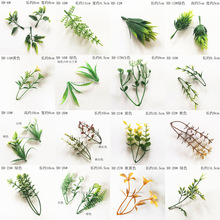 塑料仿真水草假花束配草鱼缸造景水草假草兰花草波斯叶幼儿园装饰