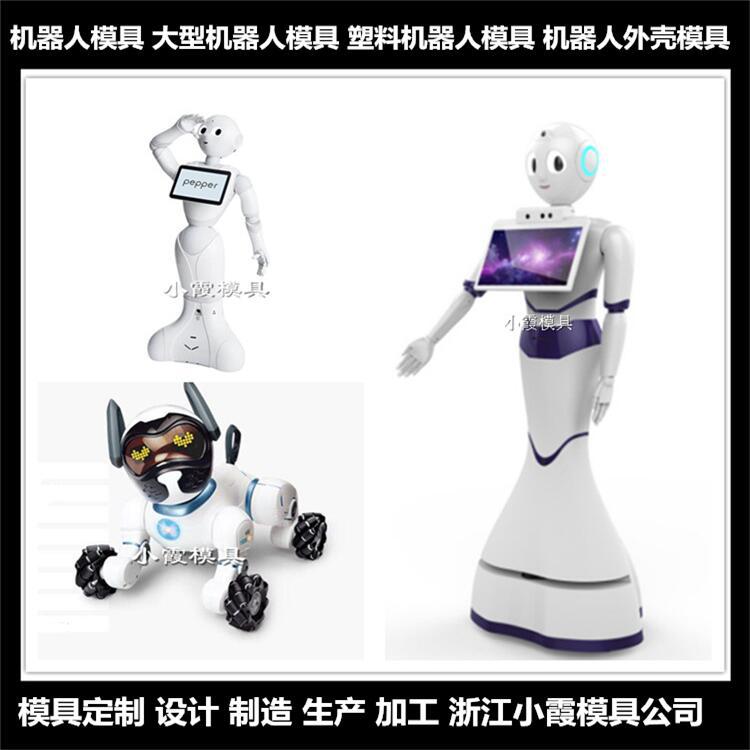 机器人塑料外壳模具 (10)