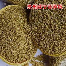 ����s�Zɢ�b�ڿ��w��w�����F�������خa���w�����w���w���]