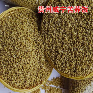 ����s�Zɢ�b�ڿ��w��w�����F�������خa���w�����w���w���]