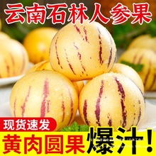 云南石林人参果新鲜整箱5斤包邮生水果10叁七彩果黄心肉圆果特大