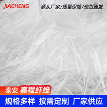 玻璃纤维短切丝 防开裂增硬耐磨玻璃纤维丝 2公分短切玻璃纤维L12