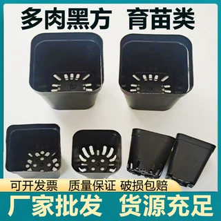 【定制链接】多肉育苗盆小黑方5.5方多种款式黑色塑料育苗花盆 基