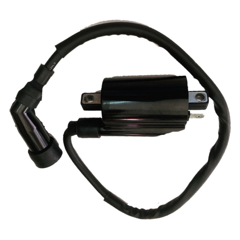 EN125-3E/3A/3F GZ150 bobina de encendido inyección eléctrica gran bolsa alto voltaje con tapa doble aguja