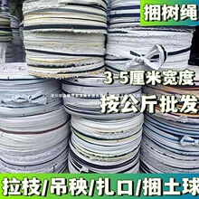BZY.���L���Ĳ��l�K�������K�⎧�����������������ڴ�������֦�u