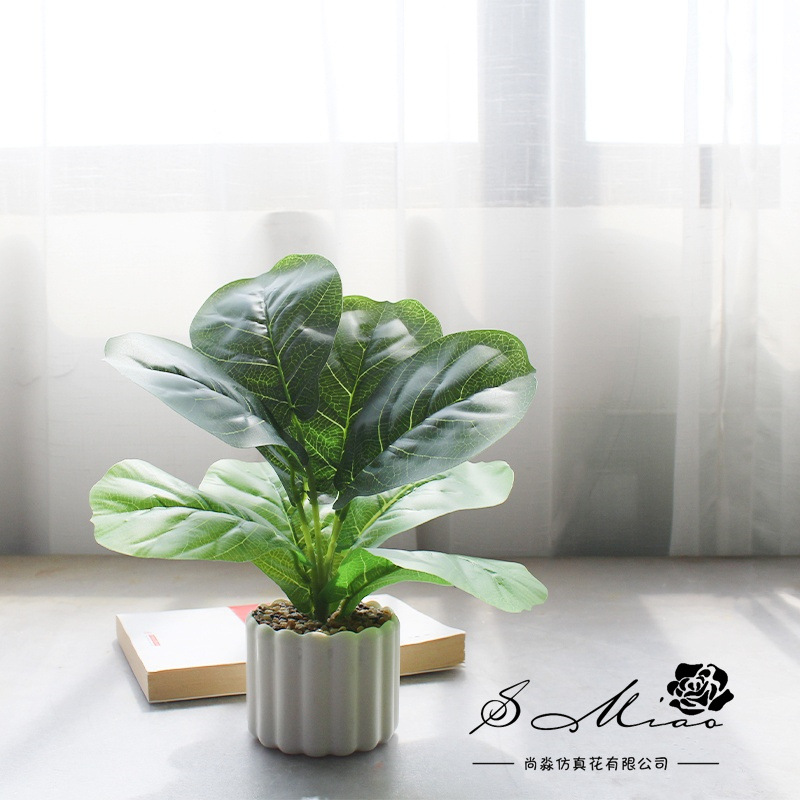 Simulación de hojas de banyan pequeñas decoraciones creativas bonsai fabricantes de decoración directa de plantas verdes artificiales falsas flores falsas de maceta de simulación image 7