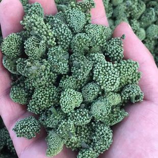 �����ؼ�500�����߻������ɽ�خa���߻��ɻ���؛��ș�Ĵ�ȫ���]