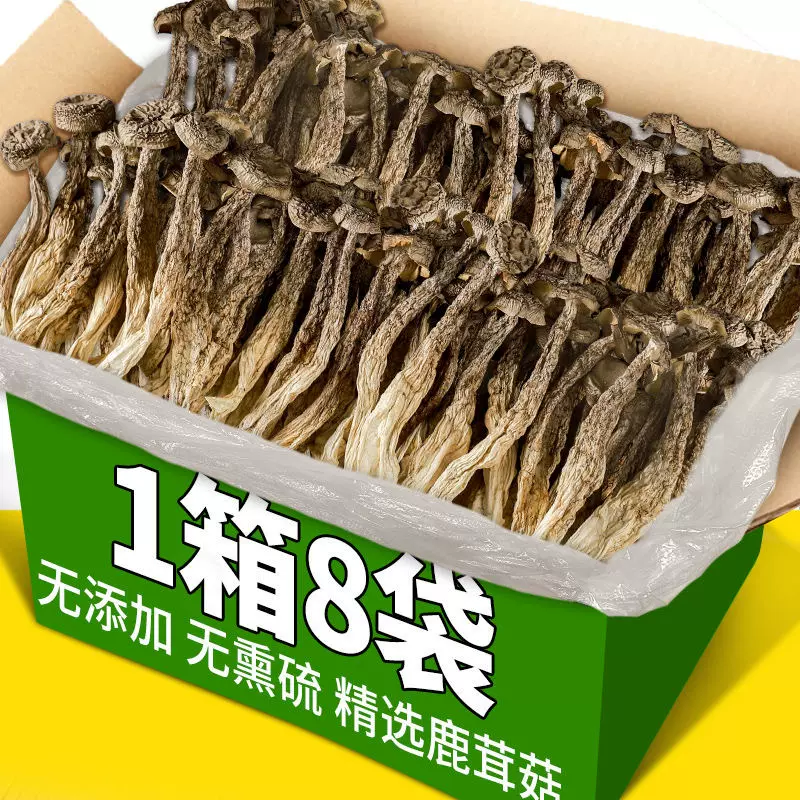 云南鹿茸菇干货羊肚菌鹿茸菌精选食用菌菇煲汤食材香菇产地直销