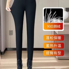 ZqqѝŮ⴩LѝӸ߂Ӷ2025oůӺѝ