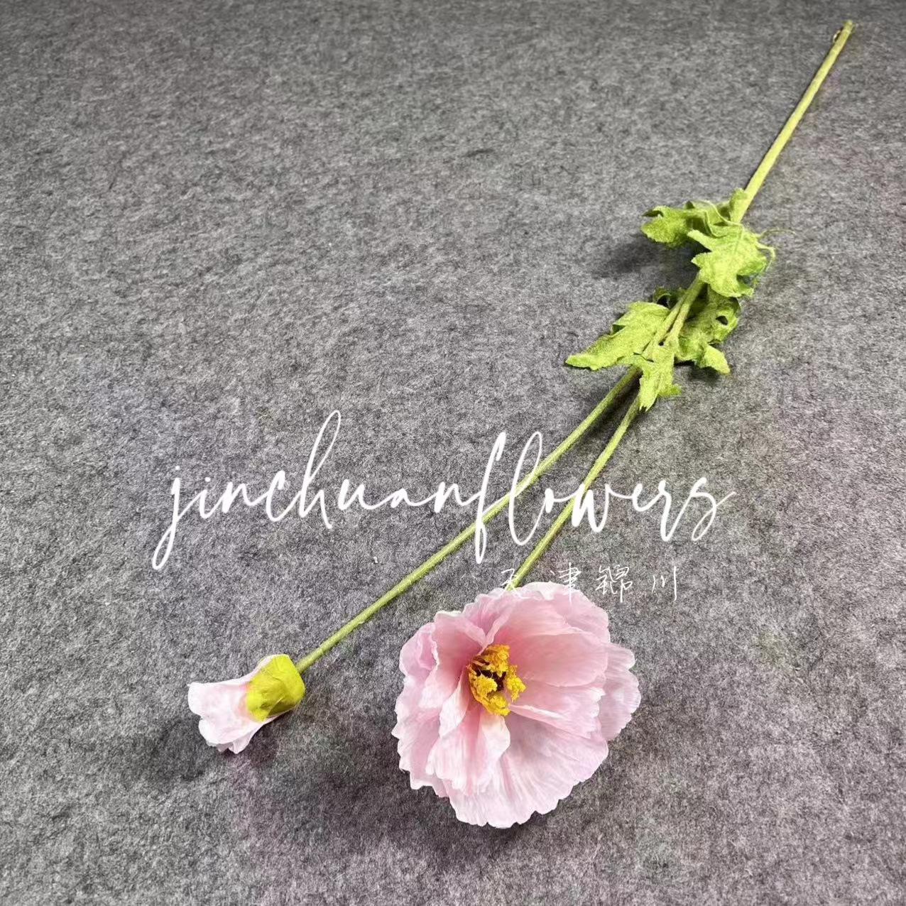 연한 보라색