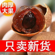 【新货12A】莆田桂圆核小肉厚龙眼干福建产多规格干货好桂圆肉