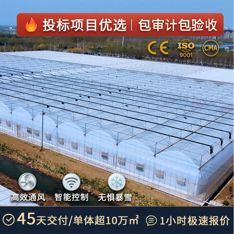 Сельскохозяйственные инженерные изоляционные сараи, аксессуары для теплиц, теплицы для выращивания овощей, каркасные теплицы, многопролетные пленочные теплицы
