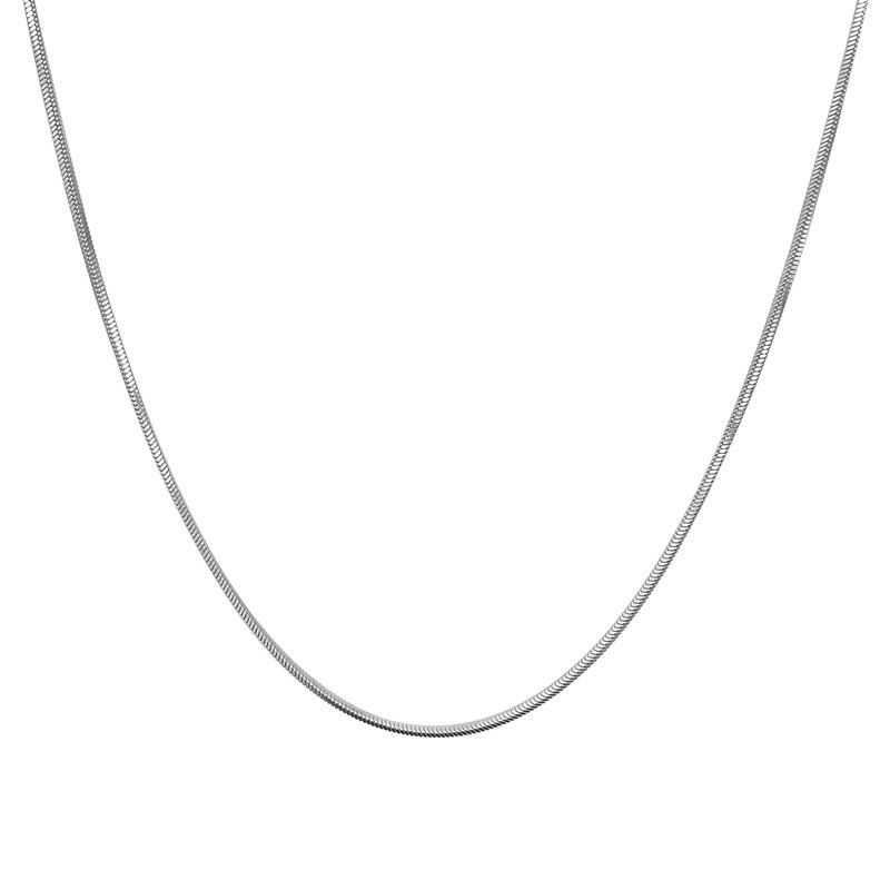 French Vintage European And American Hot-Selling Stainless Steel Round Necklace Simple Collarbone Unisex New Wholesale Snake Bone Chain_voghion.com