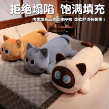 �羳��ͨſ��؈���L�l����ë�q���Ů����˯�X؈����ż��ͯ�����l