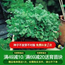 ����N�� �_�����K����������[����С������������ʾ��㴻��