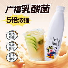 广禧浓缩乳酸菌1.15KG发酵饮品益力多含乳饮料奶茶店商用益生批发
