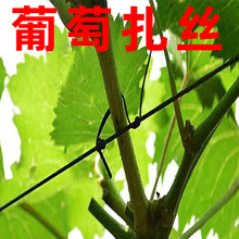 �@ˇ���� ���������������F�z�����r����������ֲ����@�������z