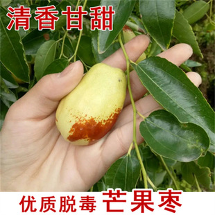 â�������ش�մ��������޽Ӻ��J�������Ϸ��Nֲ����Y��������