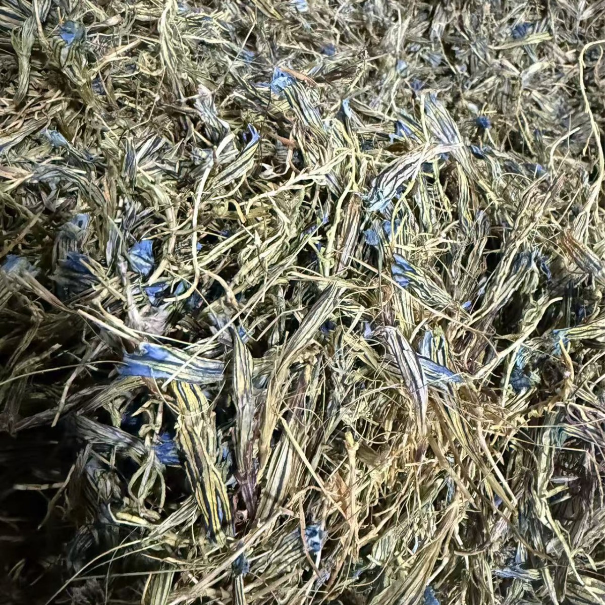 Dried Gentian Flower for Tea and Decoction 10g Bag Traditional Herbal Use quality and texture